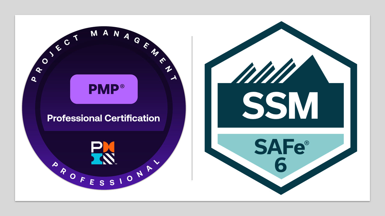 Hybrid Project & Agile Leadership Track